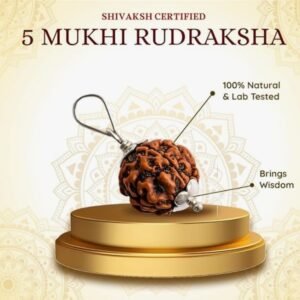 Authentic 5 Mukhi Rudraksha Numerology Pendant